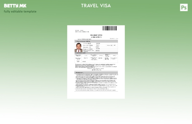 Модерен стил шаблон за кореа и виза во шаблон за формати Word и Pdf